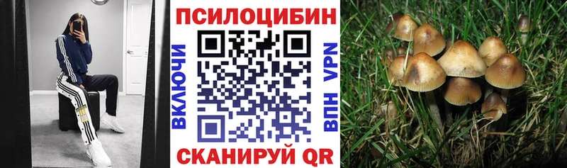 Галлюциногенные грибы GOLDEN TEACHER даркнет сайт Корсаков